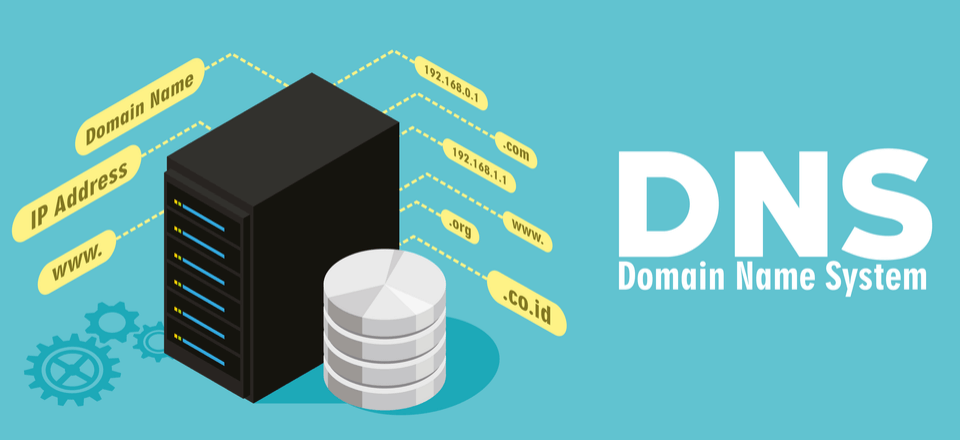Who manages domain names?
